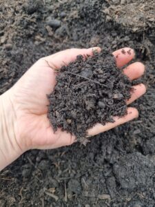 Hand in soil